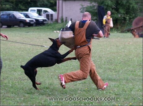 Training camp - Lukova 2007